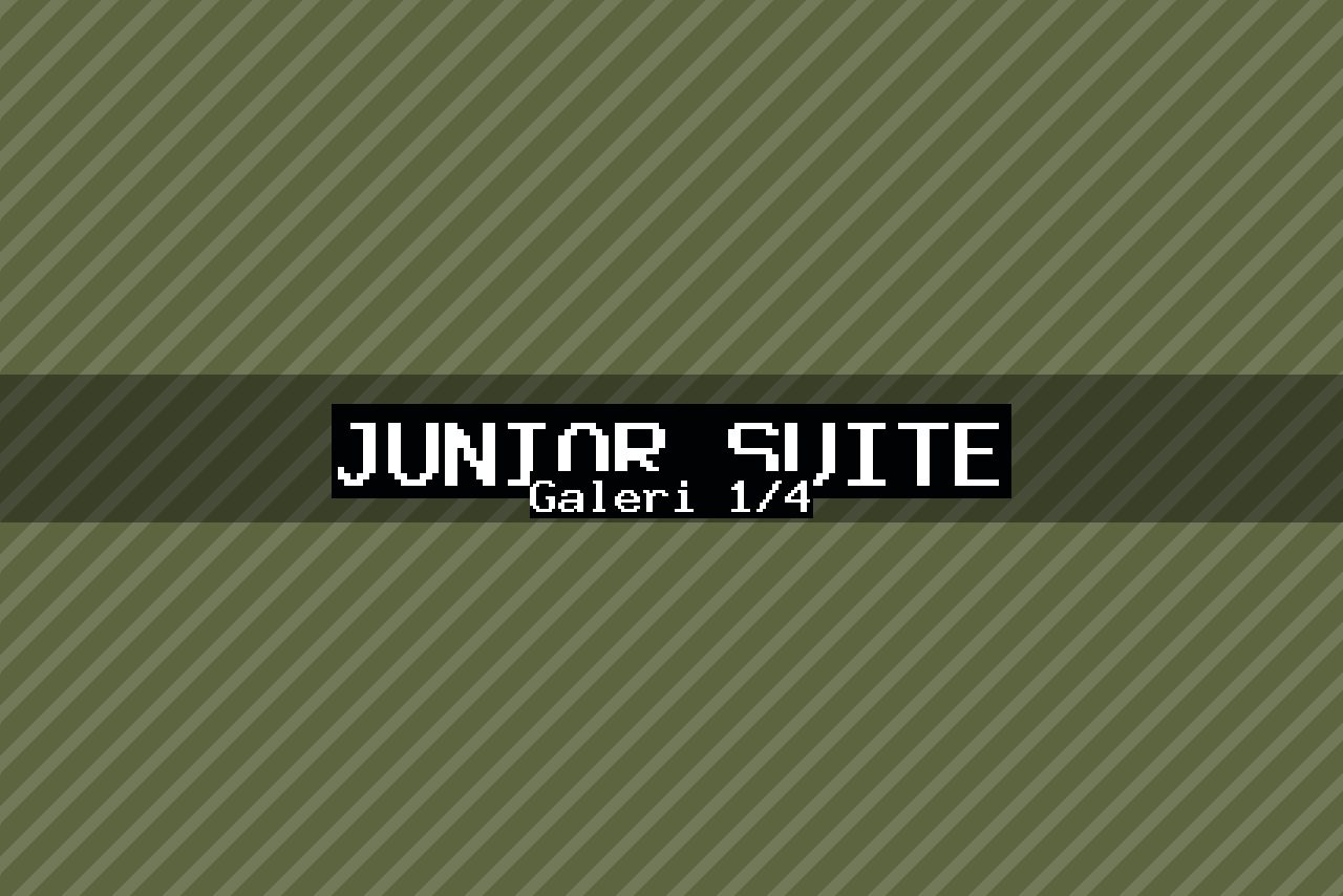 Junior Suite — 1