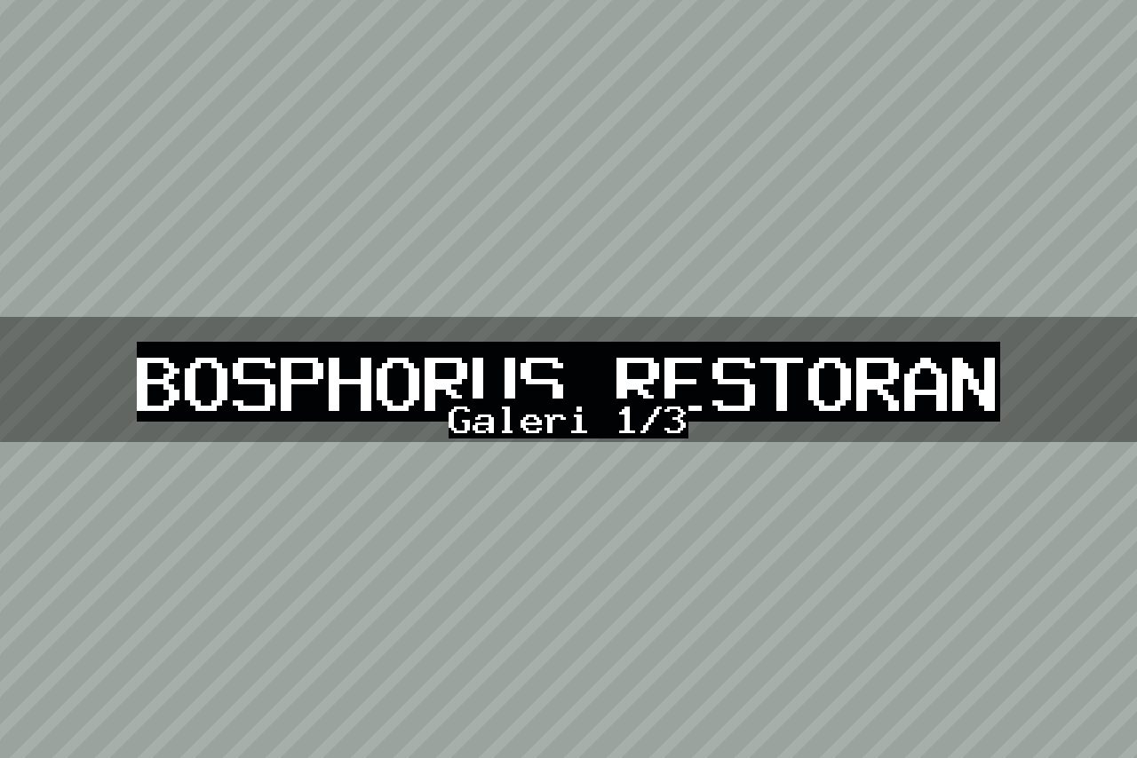 Bosphorus Restoran — 1